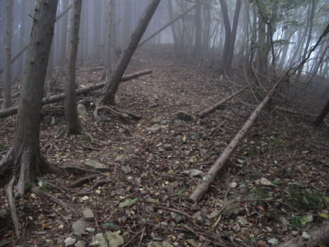 20151021hike (169)
